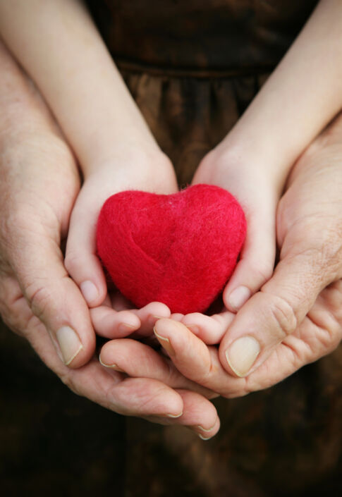 Parent child hands holding heart